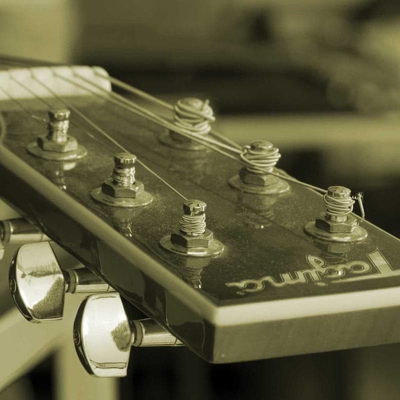 Work by Dr. Mitchell