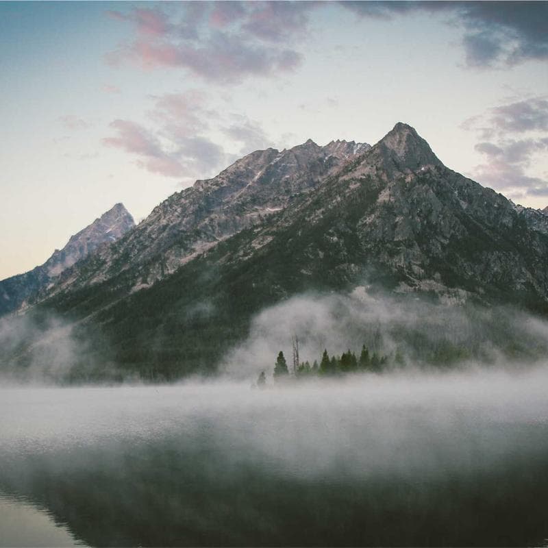 Work by Dr. Blackwood